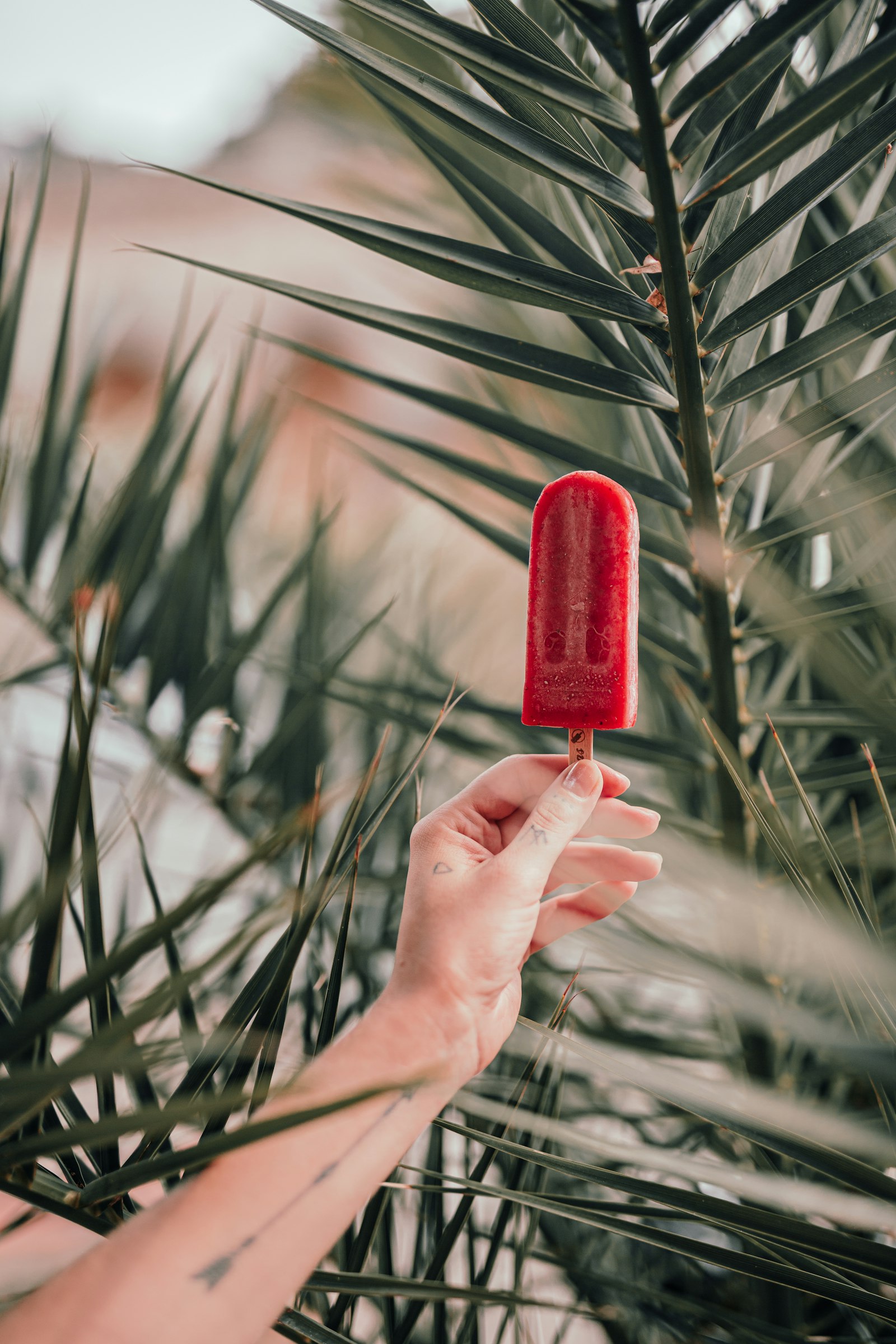 Paleta artesanal de fruta roja sostenida en alto